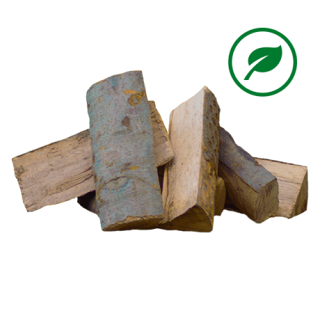 brennholz waldfrisch